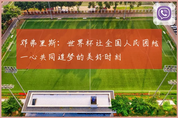 邓弗里斯：世界杯让全国人民团结一心共同追梦的美好时刻