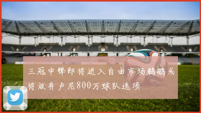 三冠中锋即将进入自由市场鹈鹕或将放弃卢尼800万球队选项
