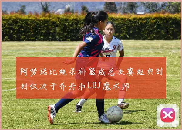 阿努诺比绝杀补篮成总决赛经典时刻仅次于乔丹和LBJ魔术师